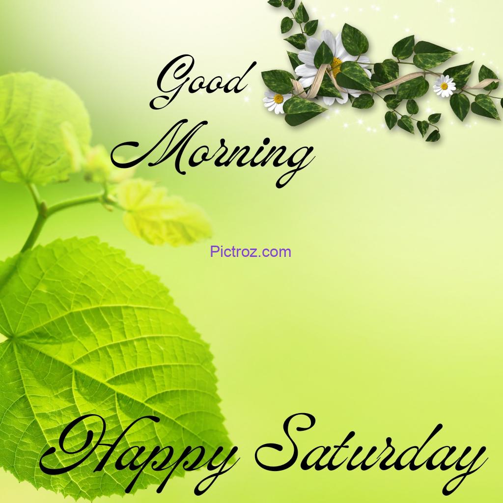 Good Morning Saturday images happy Saturday with green flower