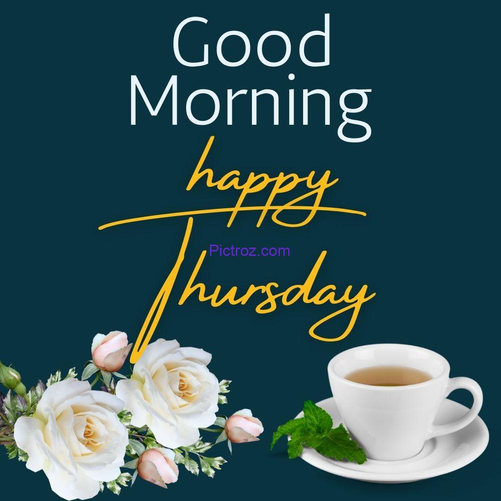 good morning and happy thursday