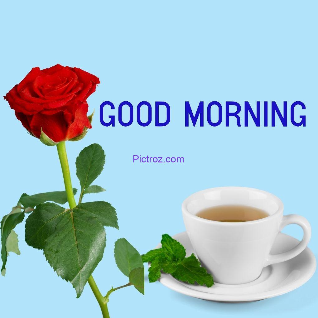 new style new latest new good morning images