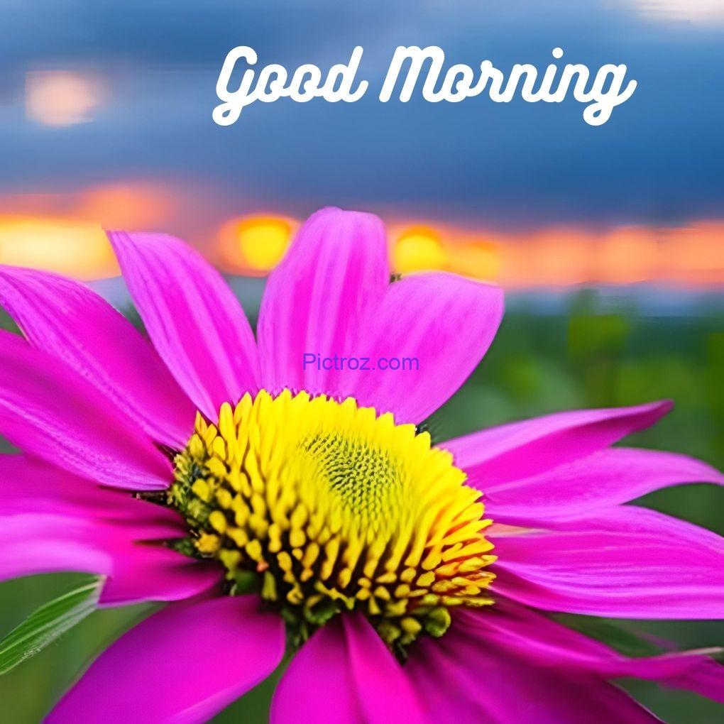 good morning images with flowers